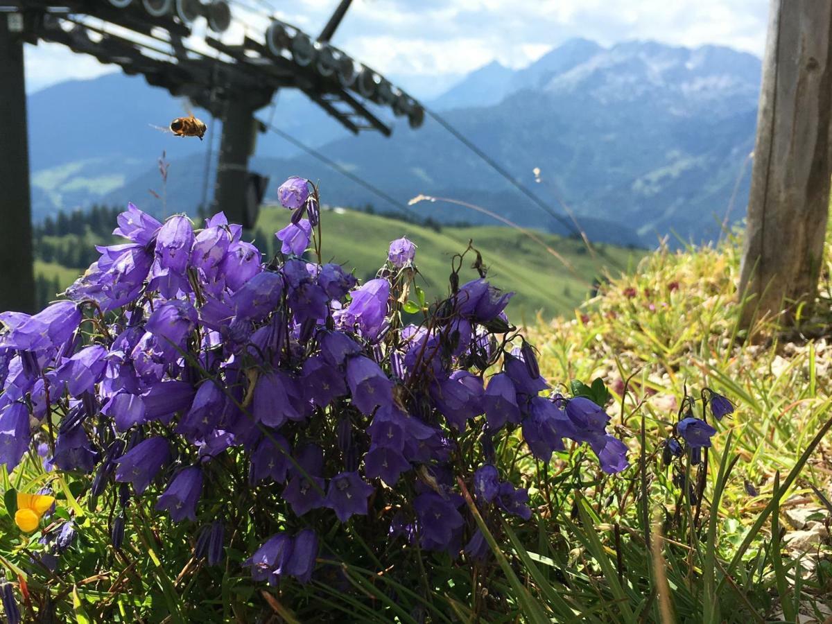 Ferienwohnung Kogelblick Gosau Esterno foto
