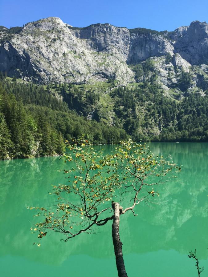 Ferienwohnung Kogelblick Gosau Esterno foto