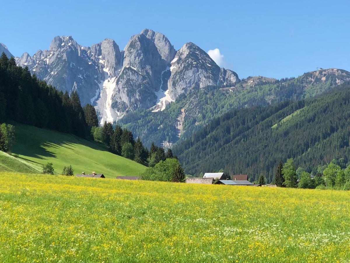 Ferienwohnung Kogelblick Gosau Esterno foto